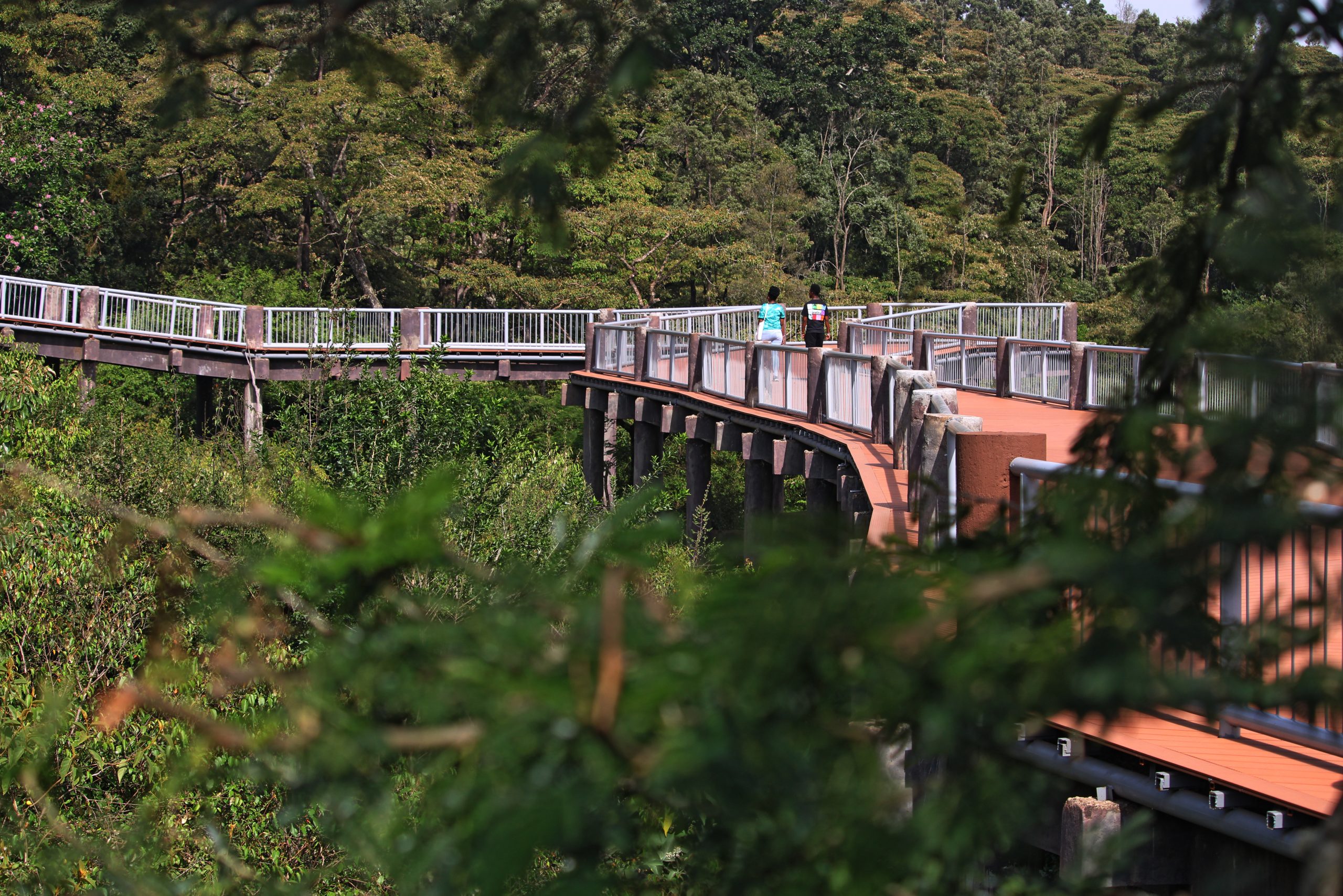 Nairobi Safari Walk